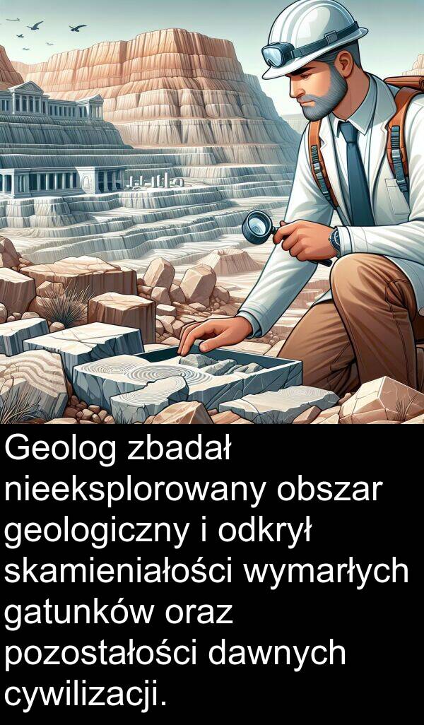 pozostałości: Geolog zbadał nieeksplorowany obszar geologiczny i odkrył skamieniałości wymarłych gatunków oraz pozostałości dawnych cywilizacji.