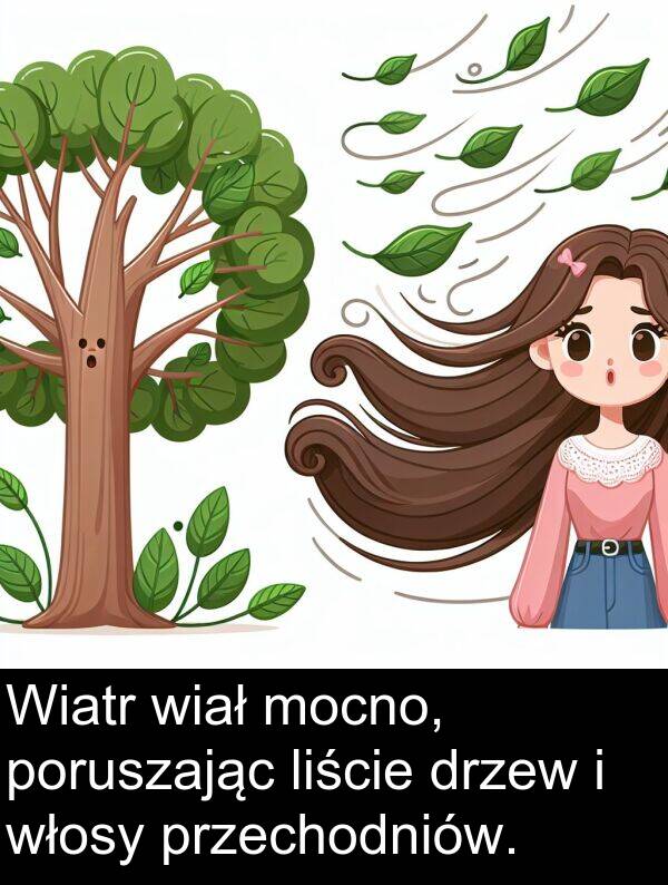 przechodniów: Wiatr wiał mocno, poruszając liście drzew i włosy przechodniów.