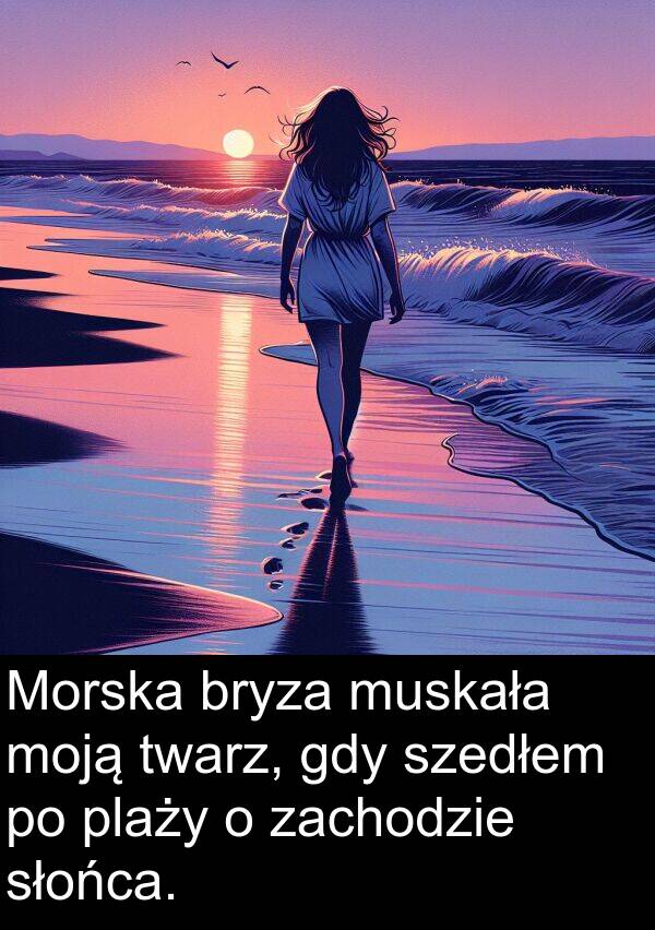 zachodzie: Morska bryza muskała moją twarz, gdy szedłem po plaży o zachodzie słońca.