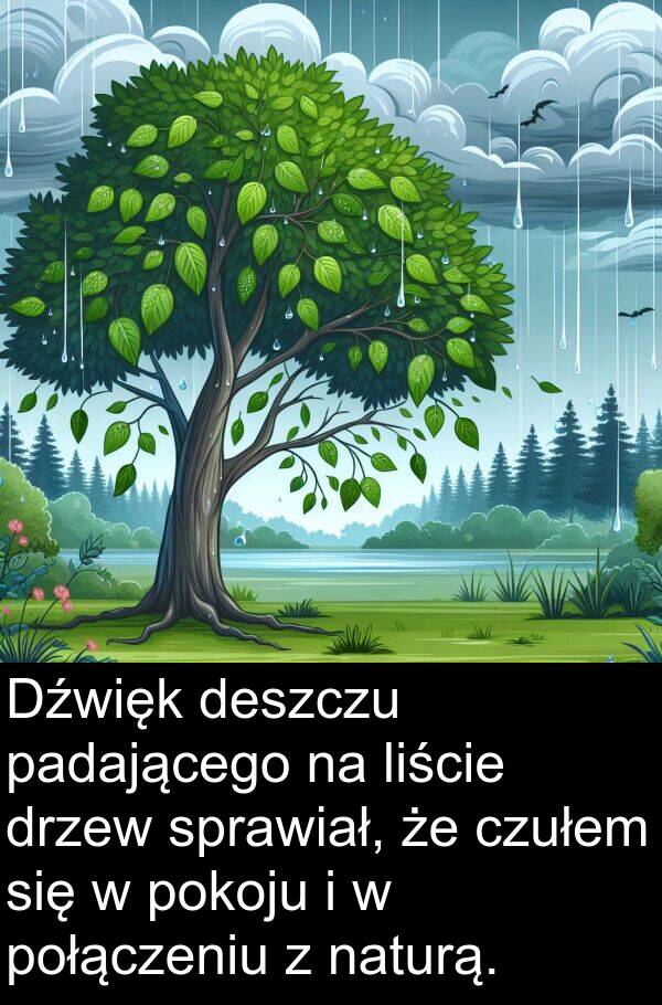 połączeniu: Dźwięk deszczu padającego na liście drzew sprawiał, że czułem się w pokoju i w połączeniu z naturą.