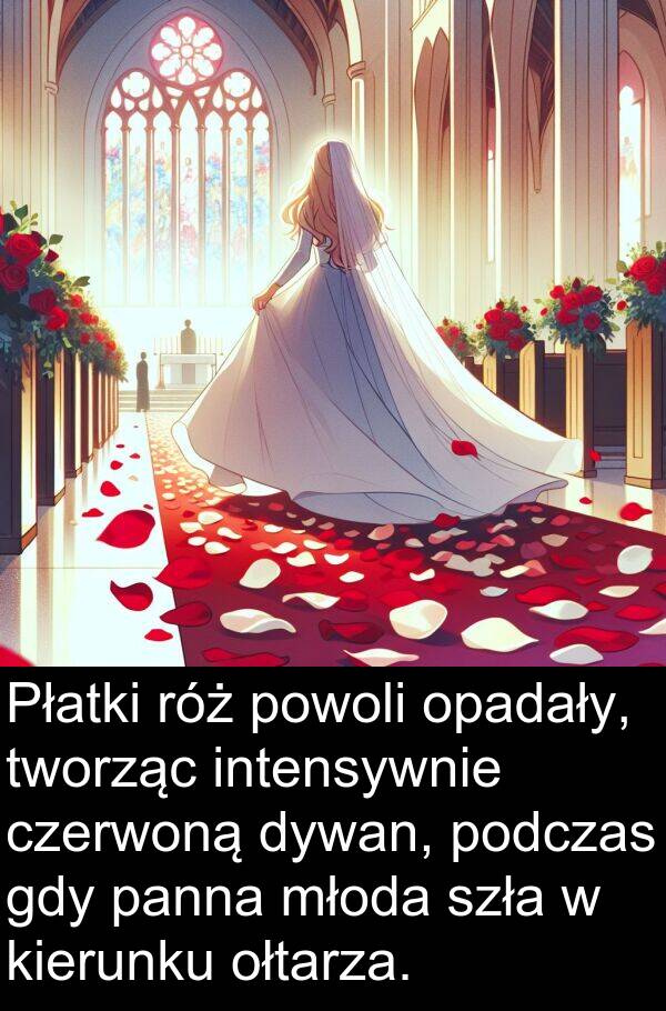 powoli: Płatki róż powoli opadały, tworząc intensywnie czerwoną dywan, podczas gdy panna młoda szła w kierunku ołtarza.