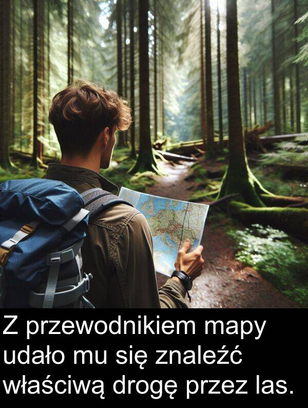 las: Z przewodnikiem mapy udało mu się znaleźć właściwą drogę przez las.