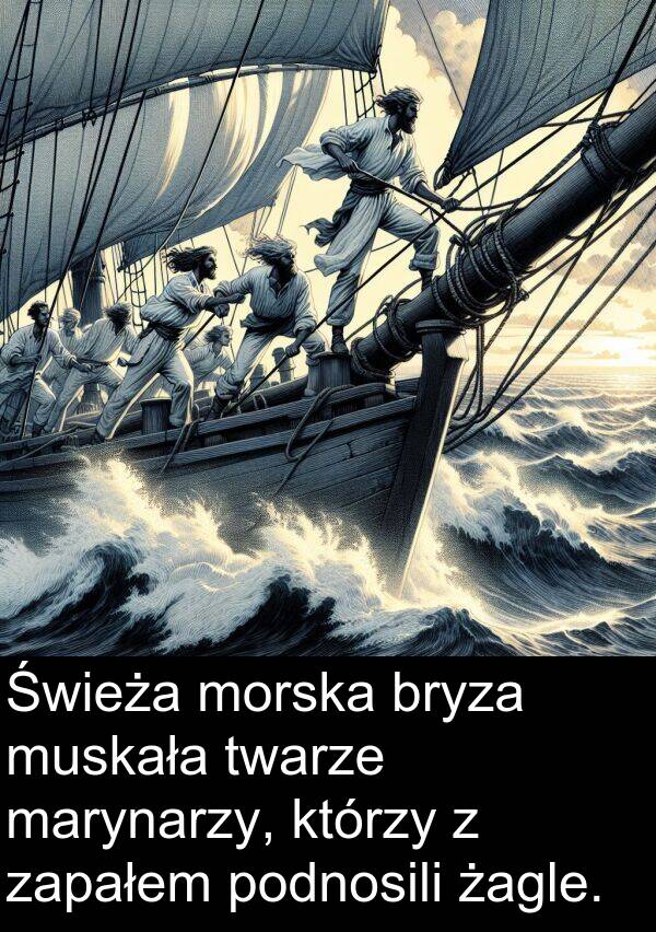 żagle: Świeża morska bryza muskała twarze marynarzy, którzy z zapałem podnosili żagle.