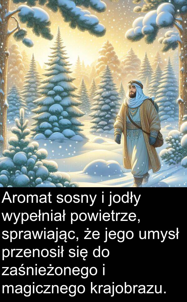 powietrze: Aromat sosny i jodły wypełniał powietrze, sprawiając, że jego umysł przenosił się do zaśnieżonego i magicznego krajobrazu.