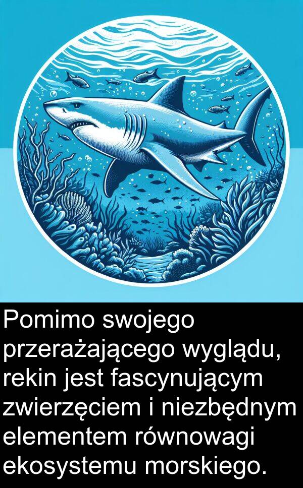 przerażającego: Pomimo swojego przerażającego wyglądu, rekin jest fascynującym zwierzęciem i niezbędnym elementem równowagi ekosystemu morskiego.