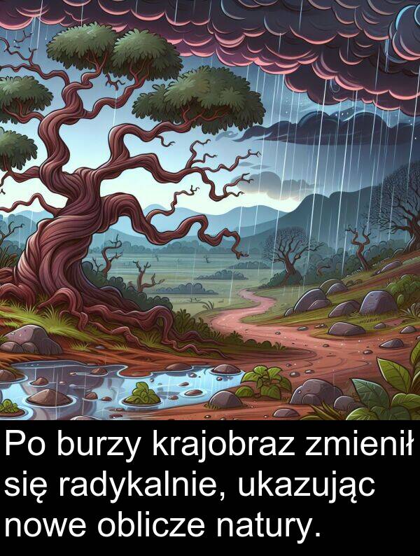 zmienił: Po burzy krajobraz zmienił się radykalnie, ukazując nowe oblicze natury.