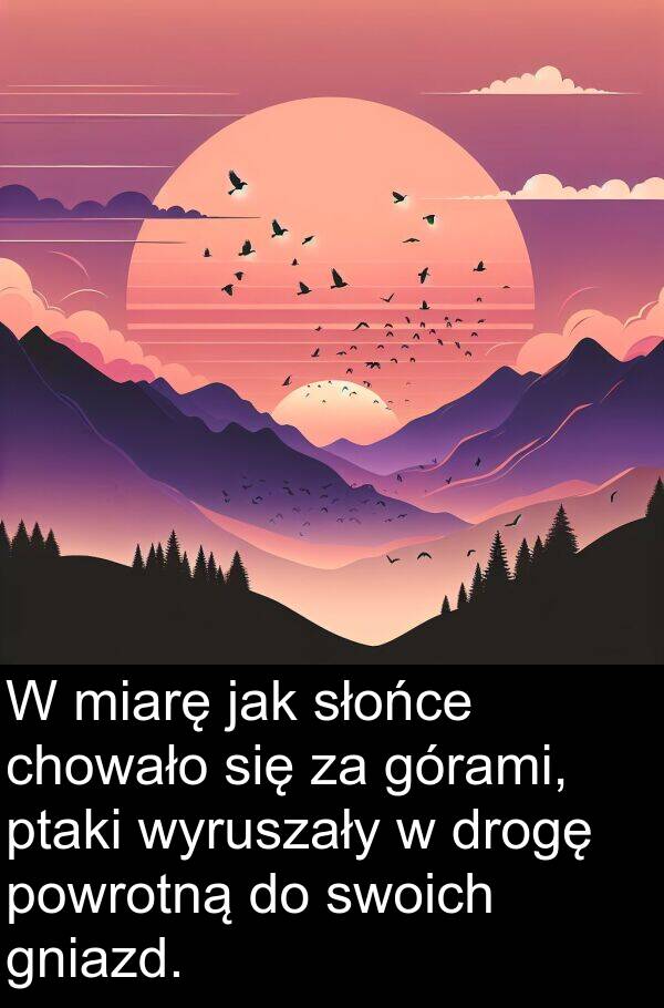 powrotną: W miarę jak słońce chowało się za górami, ptaki wyruszały w drogę powrotną do swoich gniazd.