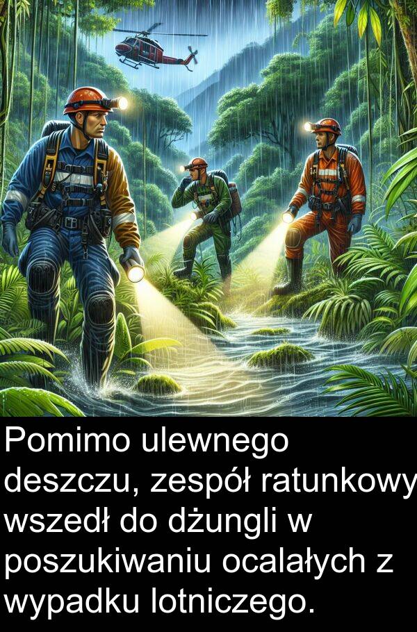ocalałych: Pomimo ulewnego deszczu, zespół ratunkowy wszedł do dżungli w poszukiwaniu ocalałych z wypadku lotniczego.