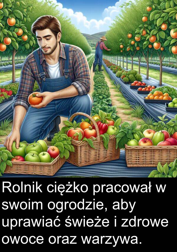 zdrowe: Rolnik ciężko pracował w swoim ogrodzie, aby uprawiać świeże i zdrowe owoce oraz warzywa.