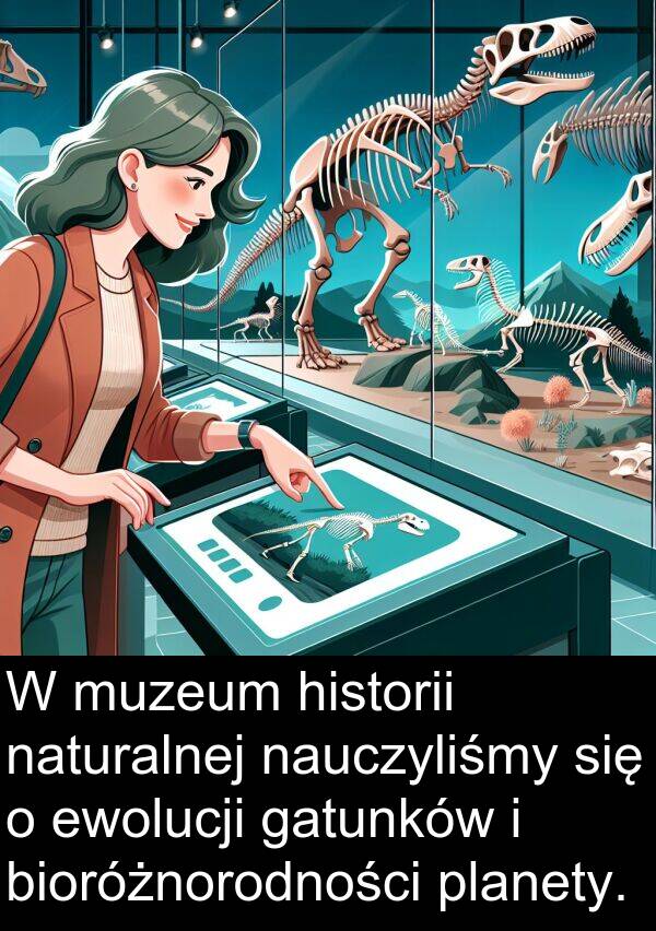 ewolucji: W muzeum historii naturalnej nauczyliśmy się o ewolucji gatunków i bioróżnorodności planety.