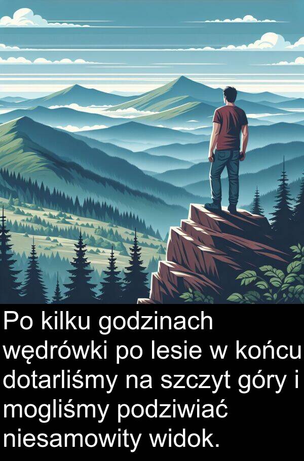 wędrówki: Po kilku godzinach wędrówki po lesie w końcu dotarliśmy na szczyt góry i mogliśmy podziwiać niesamowity widok.
