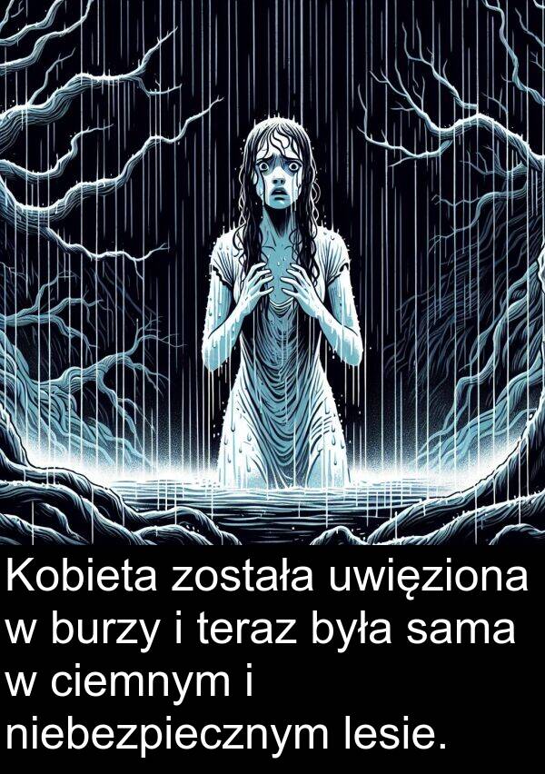 została: Kobieta została uwięziona w burzy i teraz była sama w ciemnym i niebezpiecznym lesie.