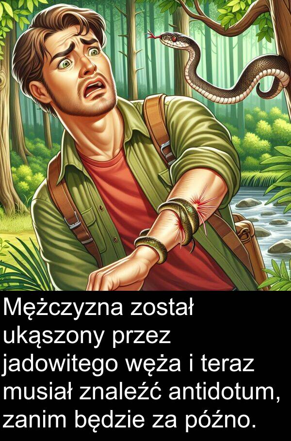 późno: Mężczyzna został ukąszony przez jadowitego węża i teraz musiał znaleźć antidotum, zanim będzie za późno.