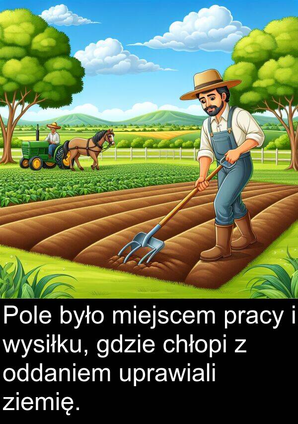 pracy: Pole było miejscem pracy i wysiłku, gdzie chłopi z oddaniem uprawiali ziemię.