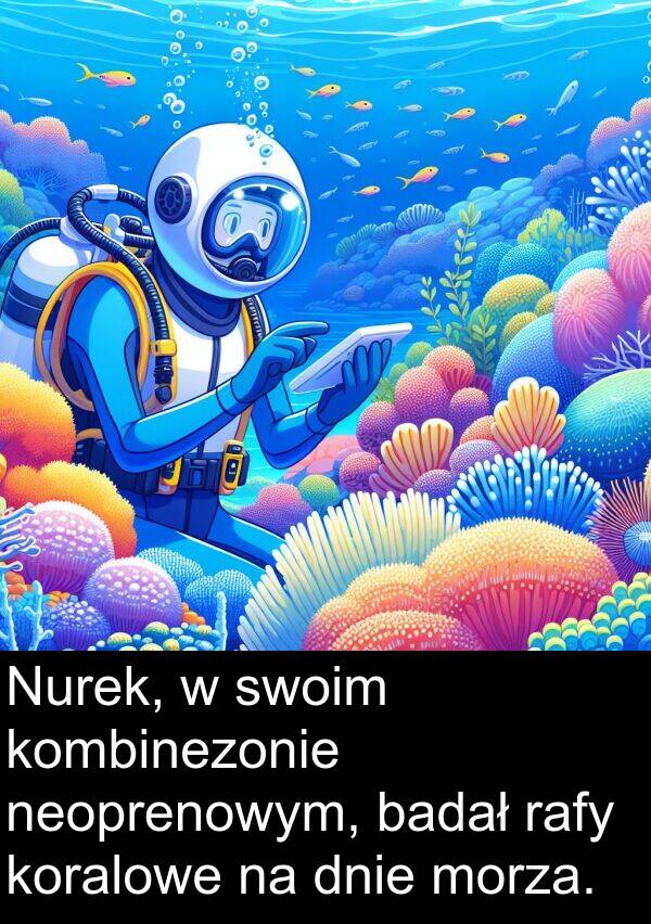 badał: Nurek, w swoim kombinezonie neoprenowym, badał rafy koralowe na dnie morza.