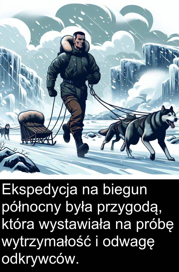 próbę: Ekspedycja na biegun północny była przygodą, która wystawiała na próbę wytrzymałość i odwagę odkrywców.