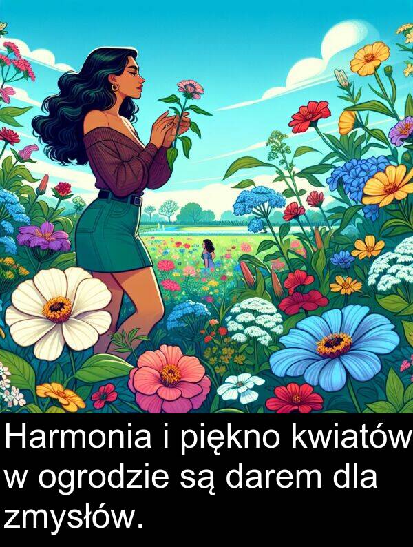 piękno: Harmonia i piękno kwiatów w ogrodzie są darem dla zmysłów.