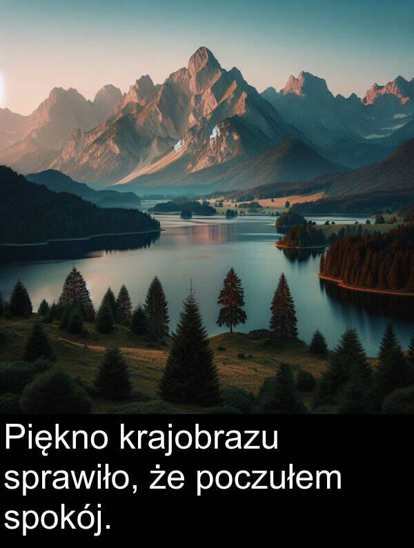 spokój: Piękno krajobrazu sprawiło, że poczułem spokój.