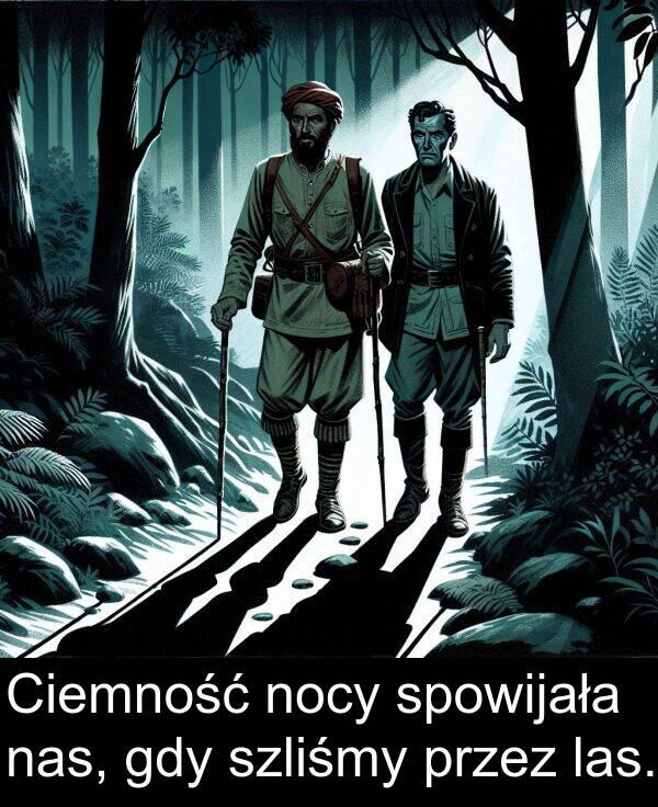 las: Ciemność nocy spowijała nas, gdy szliśmy przez las.
