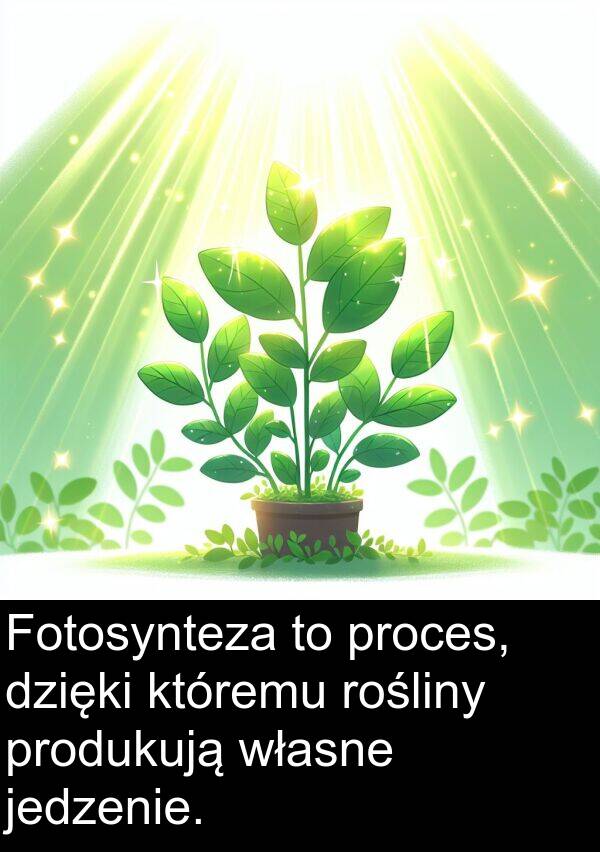 proces: Fotosynteza to proces, dzięki któremu rośliny produkują własne jedzenie.