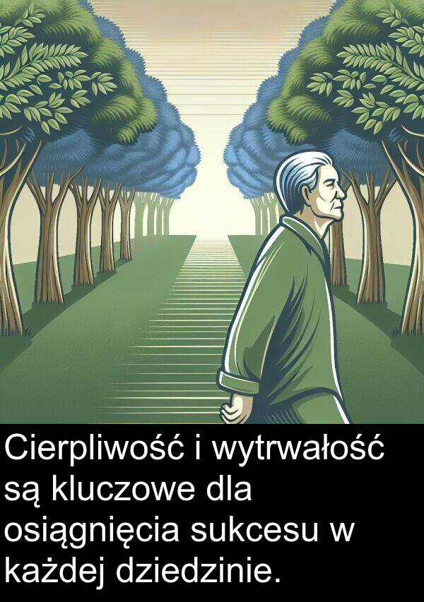 każdej: Cierpliwość i wytrwałość są kluczowe dla osiągnięcia sukcesu w każdej dziedzinie.
