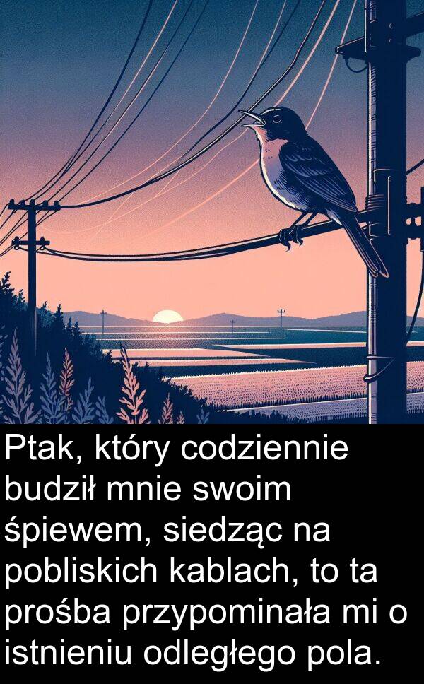 prośba: Ptak, który codziennie budził mnie swoim śpiewem, siedząc na pobliskich kablach, to ta prośba przypominała mi o istnieniu odległego pola.