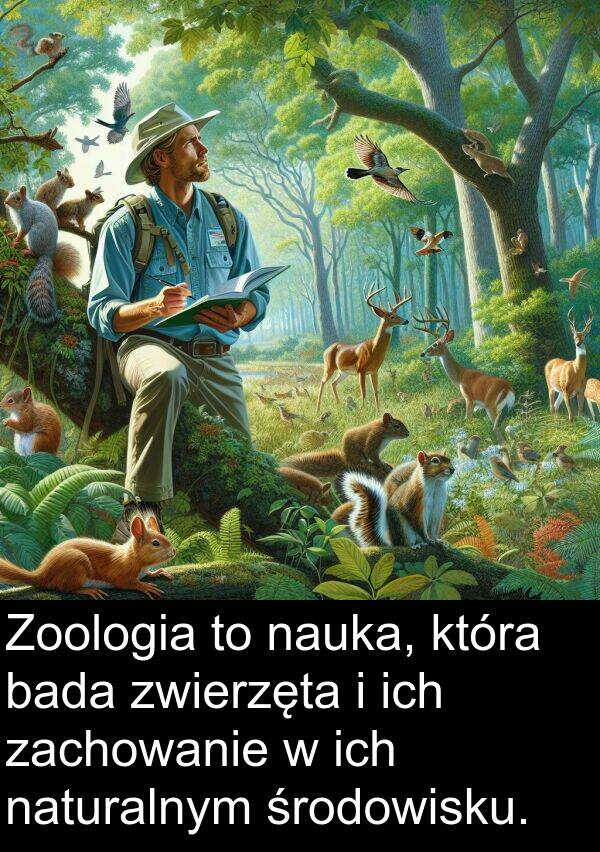 środowisku: Zoologia to nauka, która bada zwierzęta i ich zachowanie w ich naturalnym środowisku.