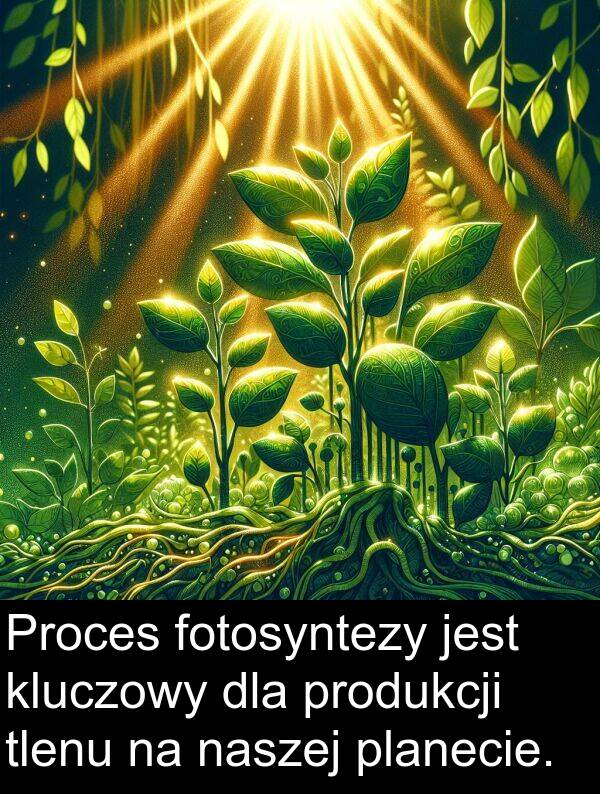 produkcji: Proces fotosyntezy jest kluczowy dla produkcji tlenu na naszej planecie.