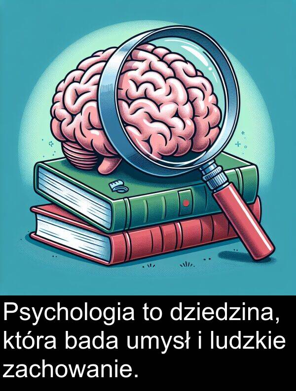 bada: Psychologia to dziedzina, która bada umysł i ludzkie zachowanie.