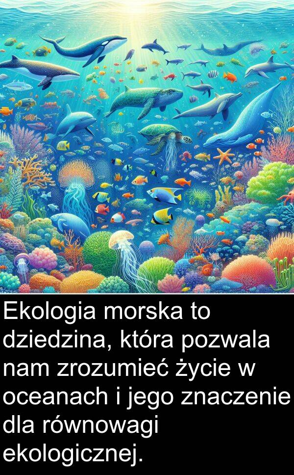 pozwala: Ekologia morska to dziedzina, która pozwala nam zrozumieć życie w oceanach i jego znaczenie dla równowagi ekologicznej.