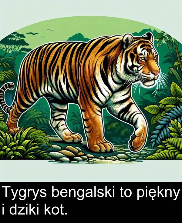 kot: Tygrys bengalski to piękny i dziki kot.