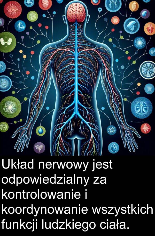 ludzkiego: Układ nerwowy jest odpowiedzialny za kontrolowanie i koordynowanie wszystkich funkcji ludzkiego ciała.