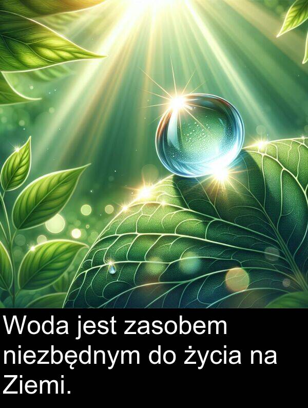życia: Woda jest zasobem niezbędnym do życia na Ziemi.