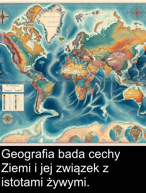związek: Geografia bada cechy Ziemi i jej związek z istotami żywymi.
