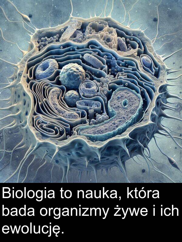 żywe: Biologia to nauka, która bada organizmy żywe i ich ewolucję.