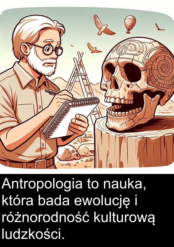 bada: Antropologia to nauka, która bada ewolucję i różnorodność kulturową ludzkości.