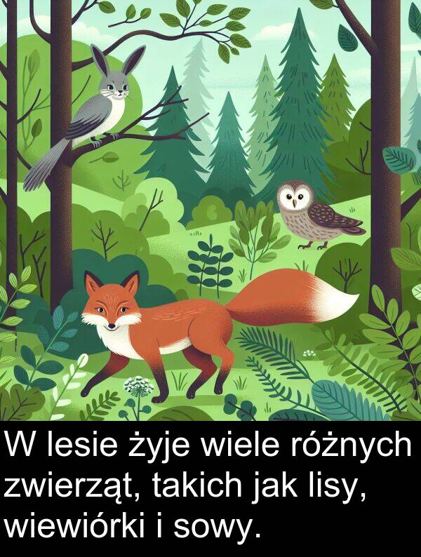 zwierząt: W lesie żyje wiele różnych zwierząt, takich jak lisy, wiewiórki i sowy.
