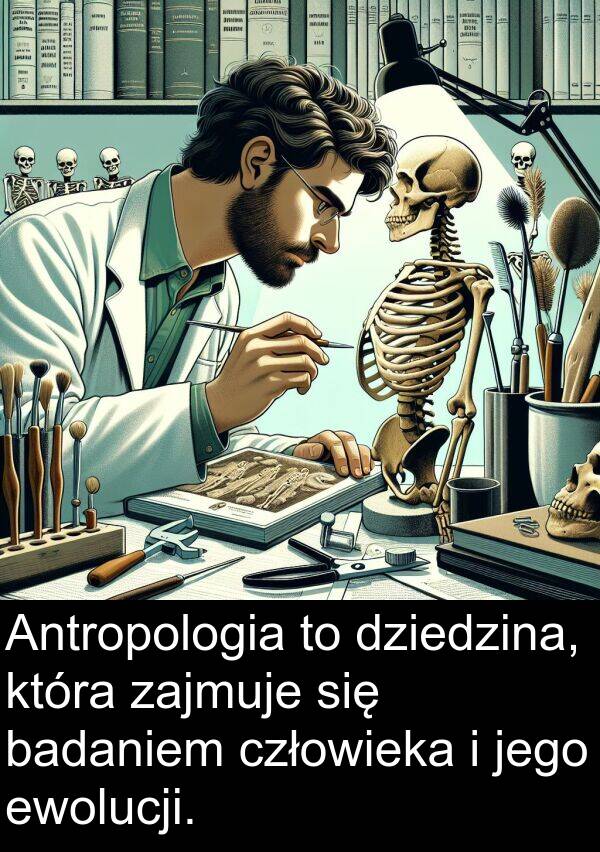 ewolucji: Antropologia to dziedzina, która zajmuje się badaniem człowieka i jego ewolucji.