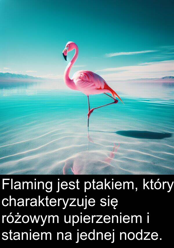 ptakiem: Flaming jest ptakiem, który charakteryzuje się różowym upierzeniem i staniem na jednej nodze.