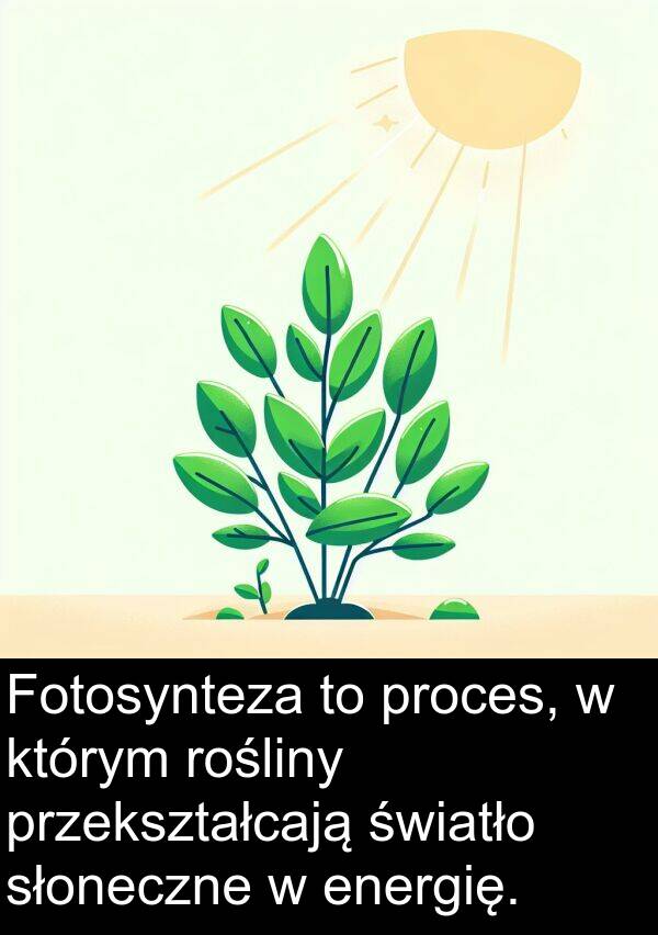 proces: Fotosynteza to proces, w którym rośliny przekształcają światło słoneczne w energię.