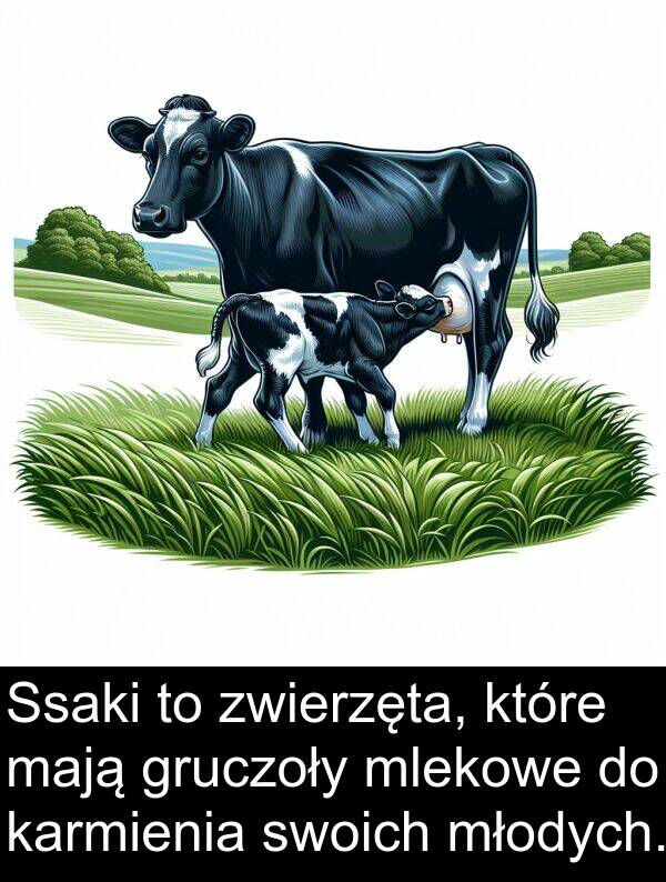 mają: Ssaki to zwierzęta, które mają gruczoły mlekowe do karmienia swoich młodych.