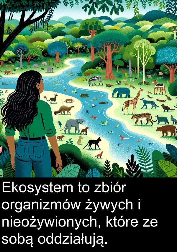 zbiór: Ekosystem to zbiór organizmów żywych i nieożywionych, które ze sobą oddziałują.