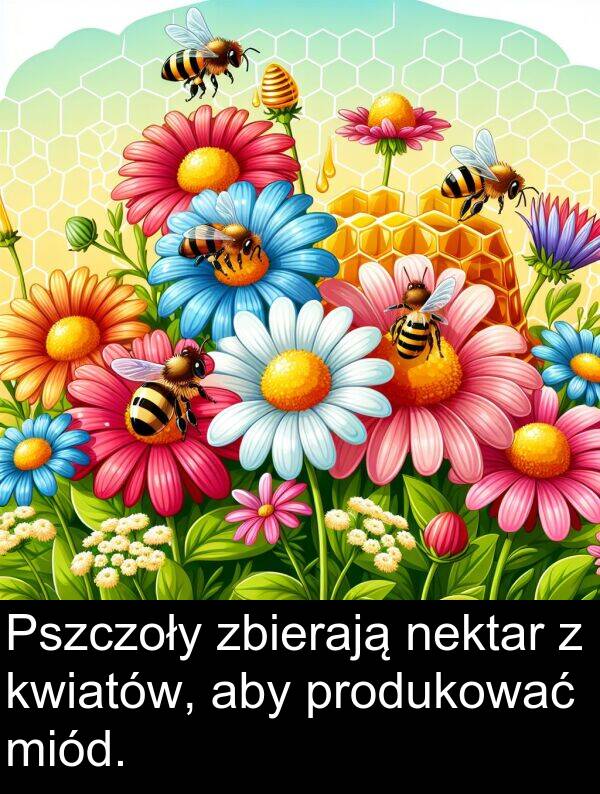 produkować: Pszczoły zbierają nektar z kwiatów, aby produkować miód.