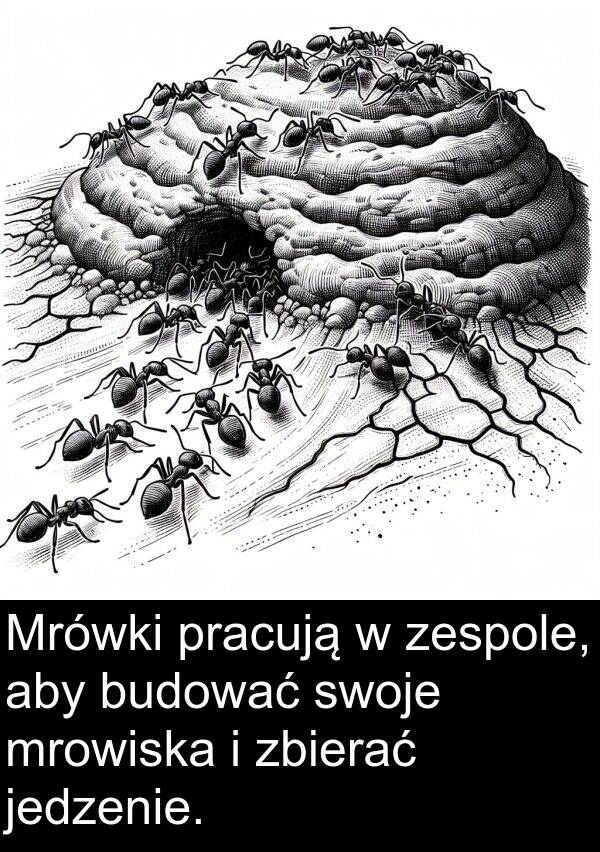 pracują: Mrówki pracują w zespole, aby budować swoje mrowiska i zbierać jedzenie.