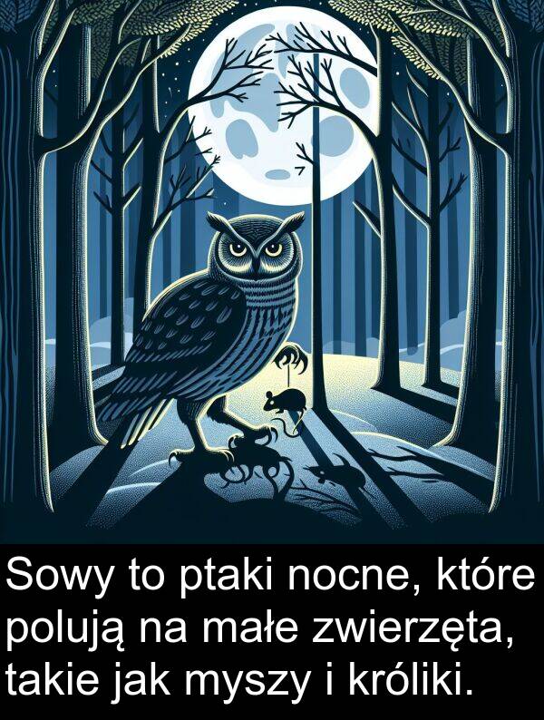 takie: Sowy to ptaki nocne, które polują na małe zwierzęta, takie jak myszy i króliki.