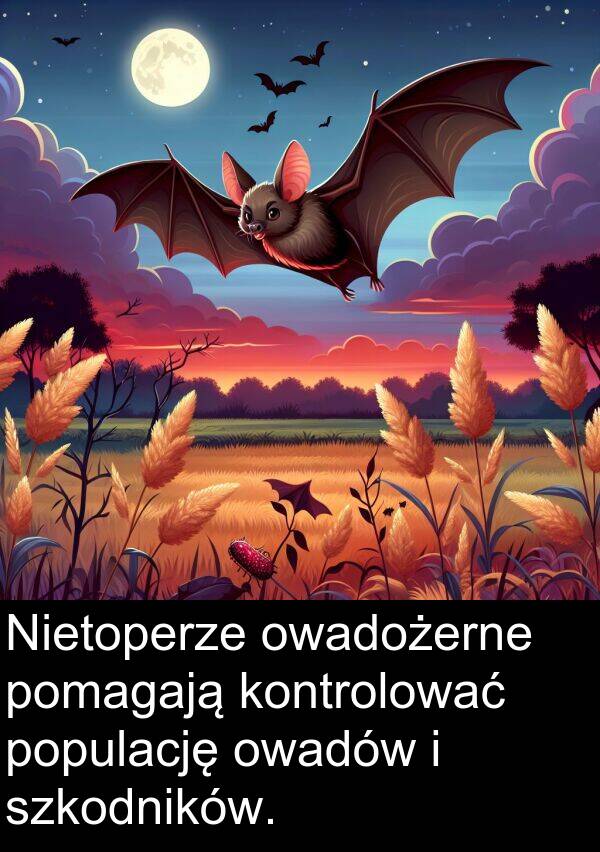 pomagają: Nietoperze owadożerne pomagają kontrolować populację owadów i szkodników.