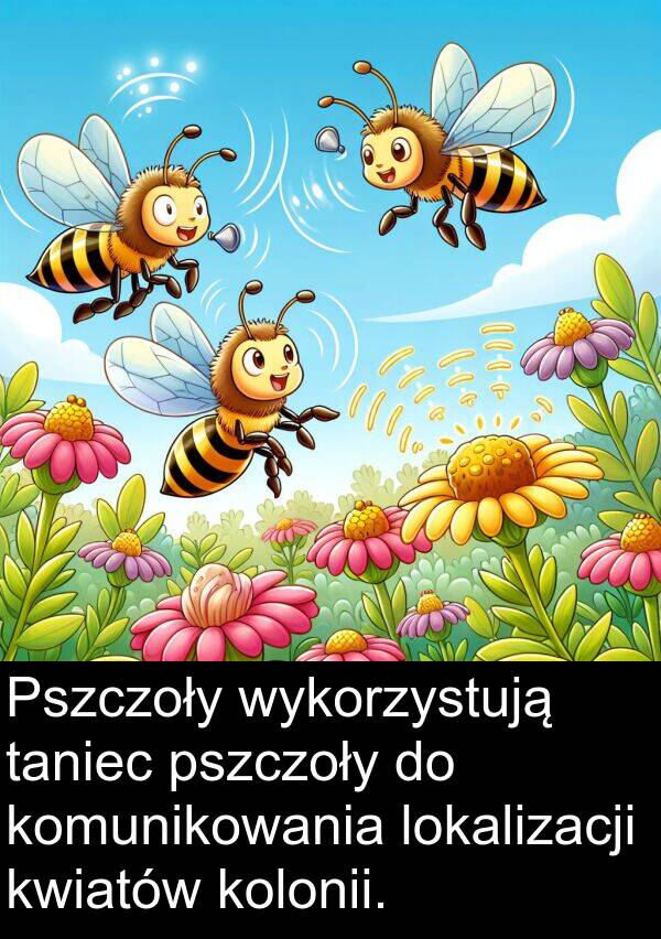 pszczoły: Pszczoły wykorzystują taniec pszczoły do komunikowania lokalizacji kwiatów kolonii.