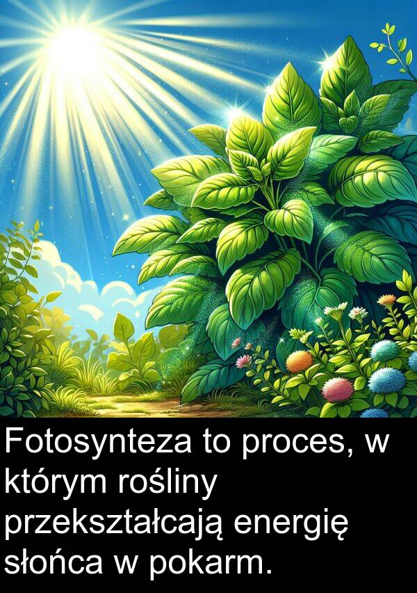 proces: Fotosynteza to proces, w którym rośliny przekształcają energię słońca w pokarm.