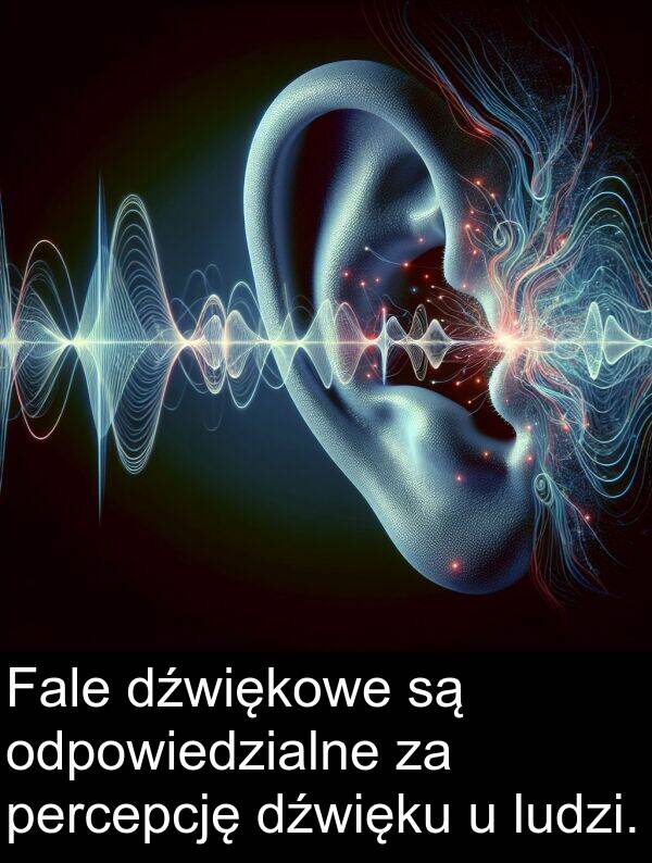 percepcję: Fale dźwiękowe są odpowiedzialne za percepcję dźwięku u ludzi.
