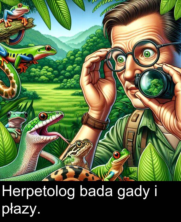 płazy: Herpetolog bada gady i płazy.